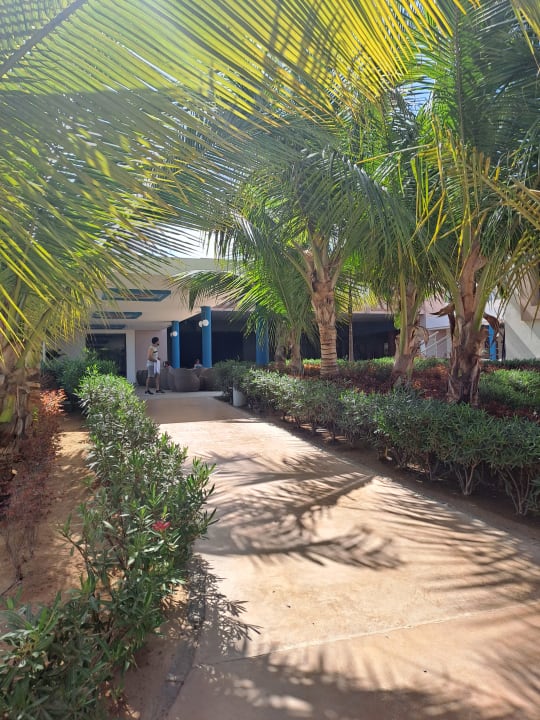 Gartenanlage Hotel Riu Palace Boavista