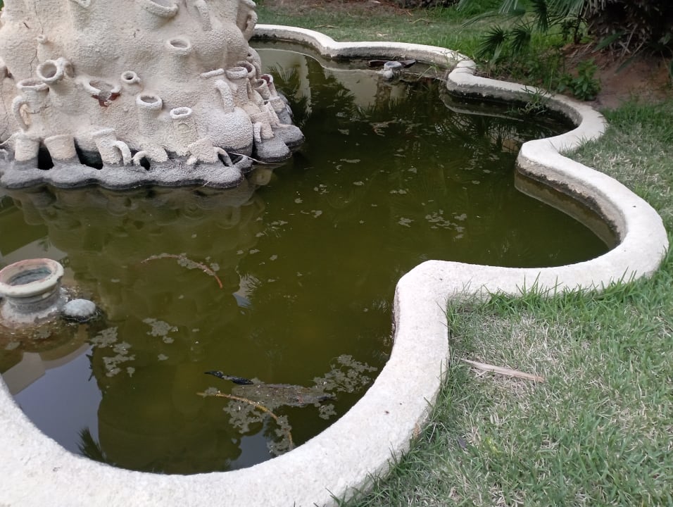 Gartenanlage Hotel Paradis Palace