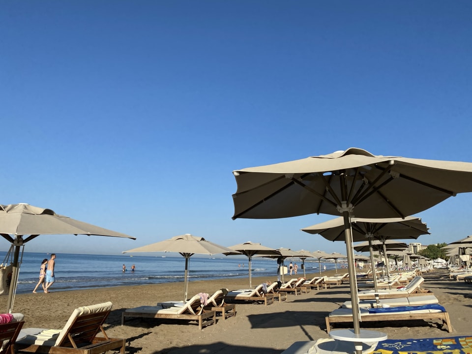 Strand Acanthus Cennet Barut Collection
