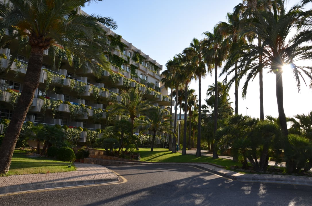 Hotel Palmira Beach allsun Hotel Bella Paguera