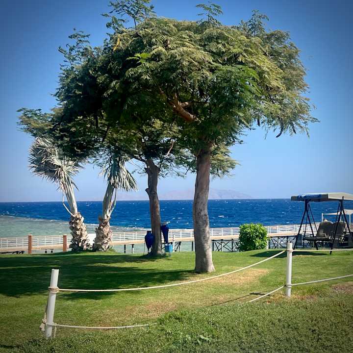 Strand Pickalbatros Royal Grand Resort - Sharm El Sheikh