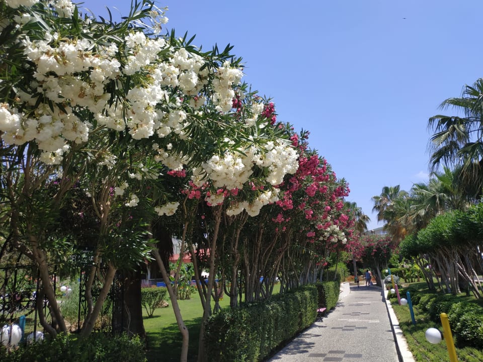 Gartenanlage VONRESORT Golden Coast