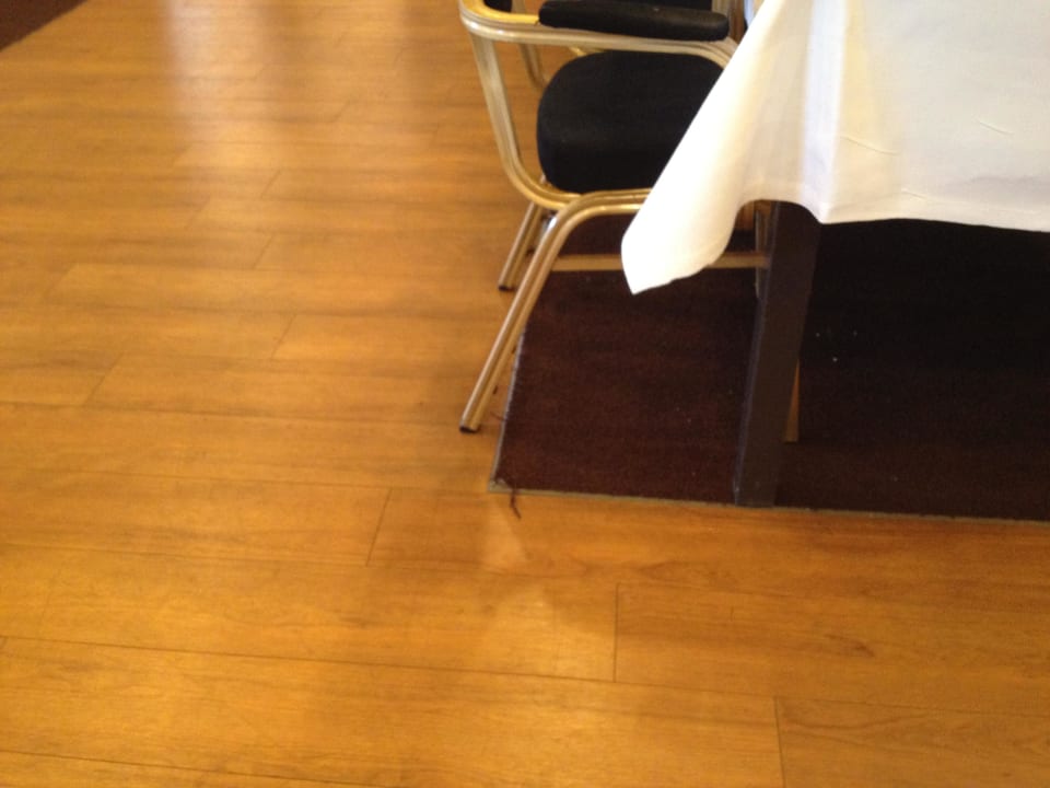 Ungepfleger/zerfranster Teppich Hotel de Witte Bergen