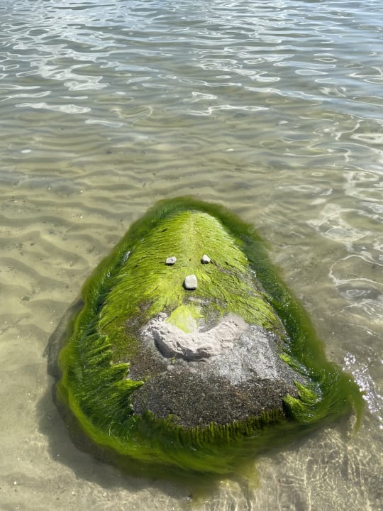 Strand Santé Royale Rügen Resort