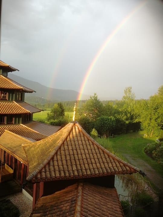Ausblick Spirit & SPA Hotel Birkenhof am Elfenhain