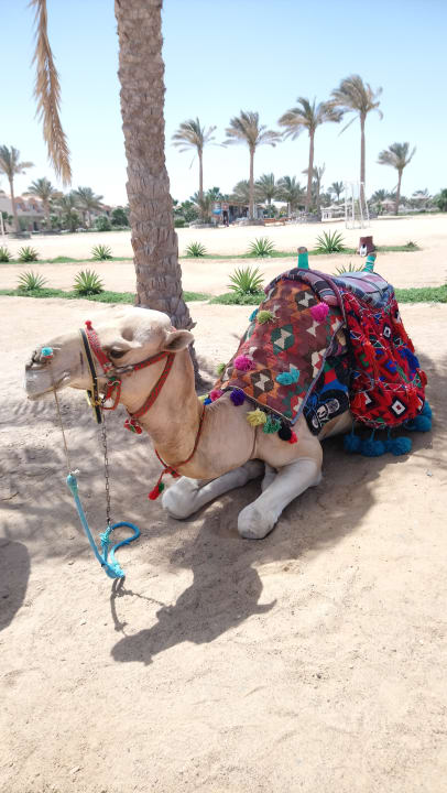 Strand Three Corners Sea Beach Resort