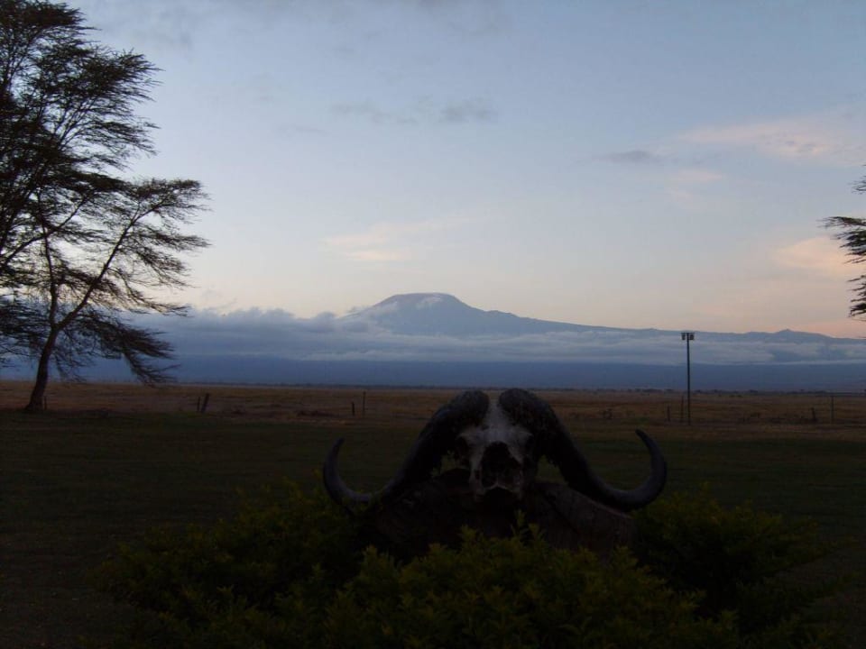Kilimanjaro in der Morgendämmerung Ol Tukai Lodge