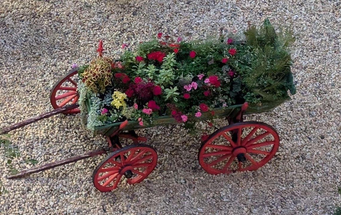 Außenansicht Sol Luna Bay