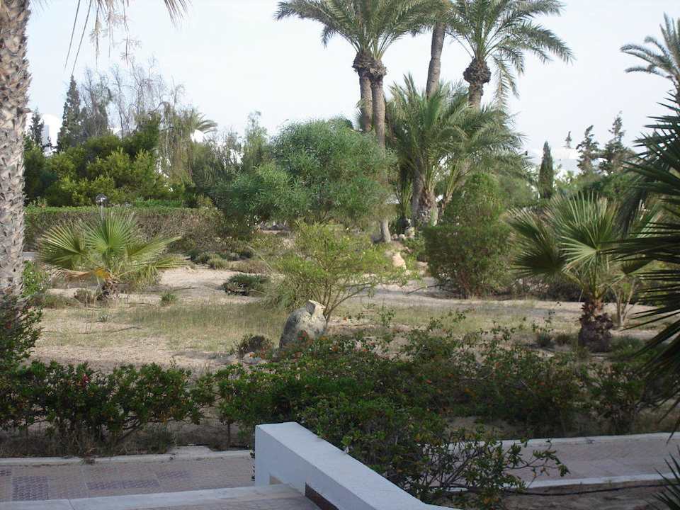 Von der Terrasse aus Hotel Jasmina Club Djerba