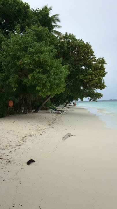 Strand Vilamendhoo Island Resort & Spa