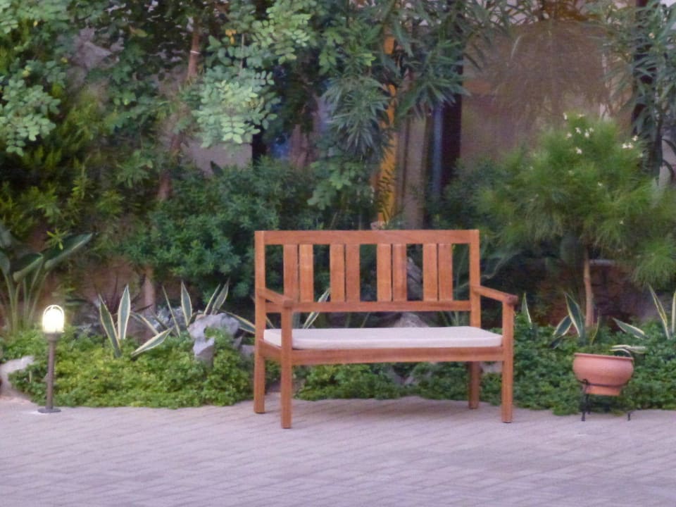 Innenhof Cactus Royal