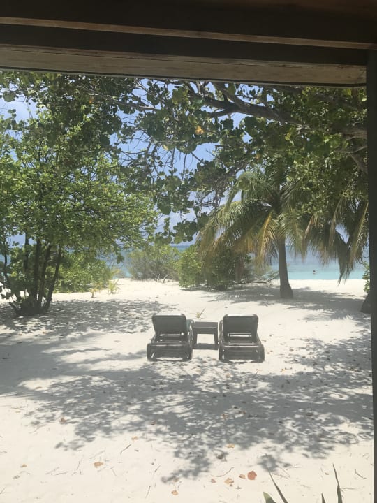Liegen am Strand  Kuredu Island Resort & Spa