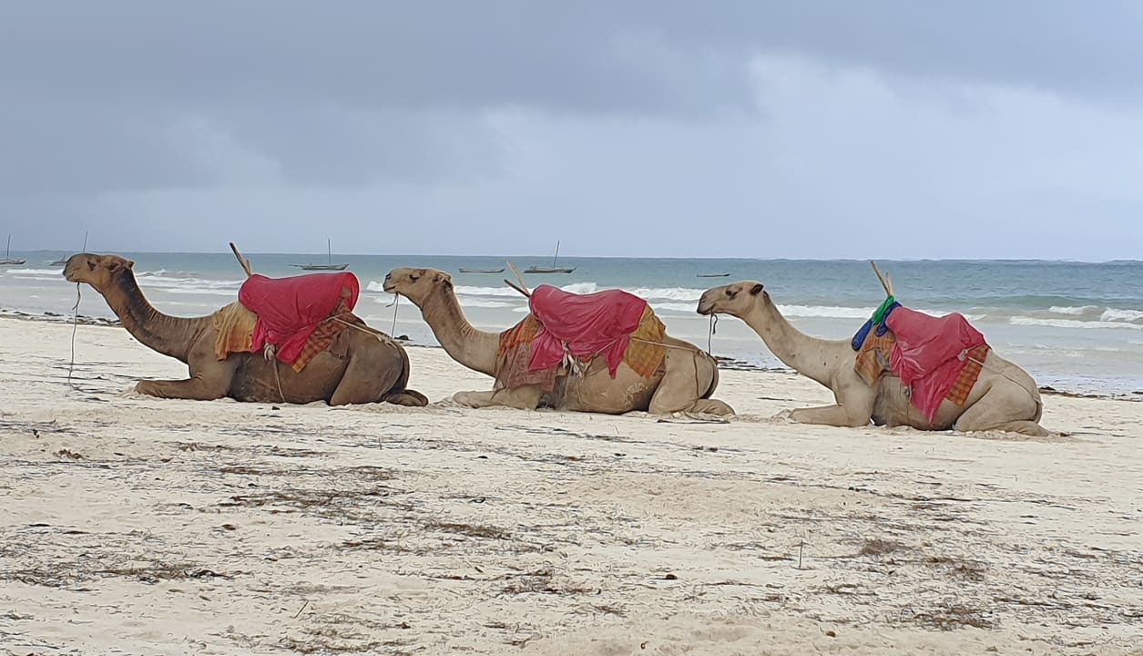 Strand Neptune Village Beach Resort & Spa