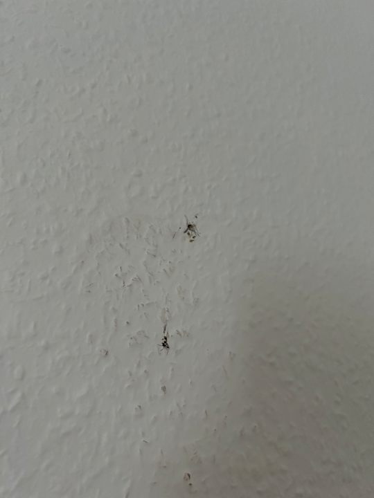 Zimmer Ferienwohnungen Ferienpark Weissenhäuser Strand