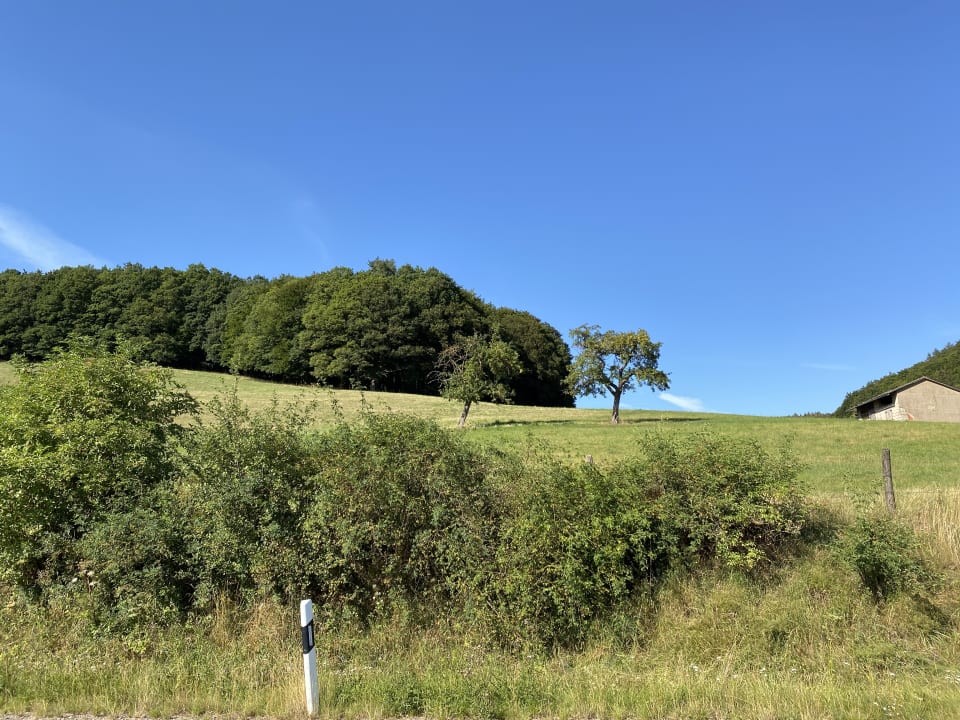 Ausblick Wiesenberghof
