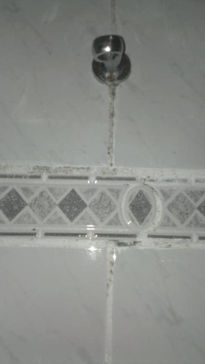 Duschkopf mit Fliesenbordüre Hotel Albert