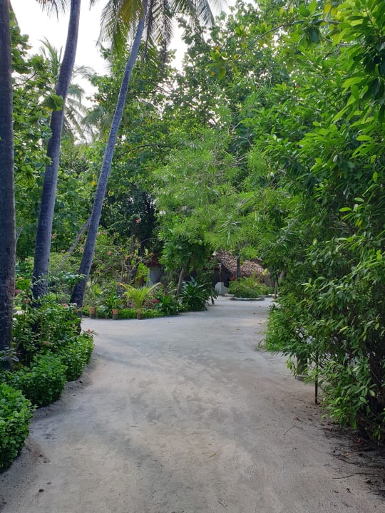 Gartenanlage Thulhagiri Island Resort