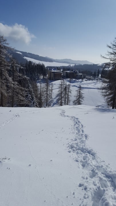 Ausblick Almwellness Hotel Pierer
