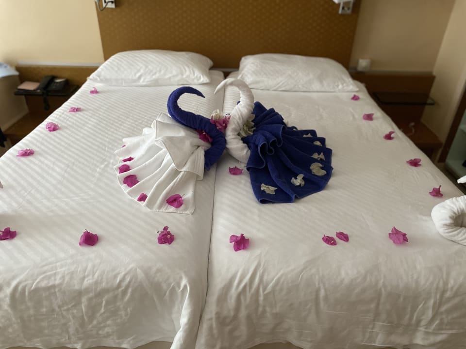 Zimmer ROBINSON ESQUINZO PLAYA