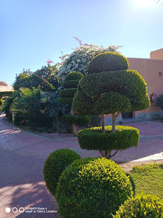 Gartenanlage Wadi Lahmy Azur Resort