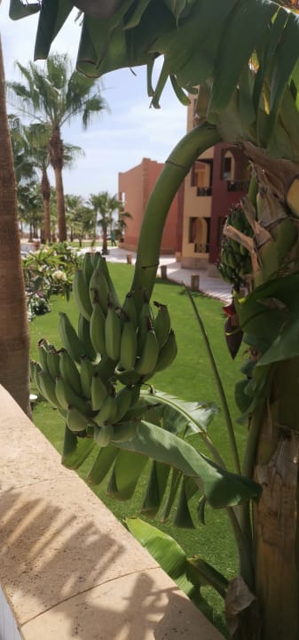 Gartenanlage Casa Mare Resort