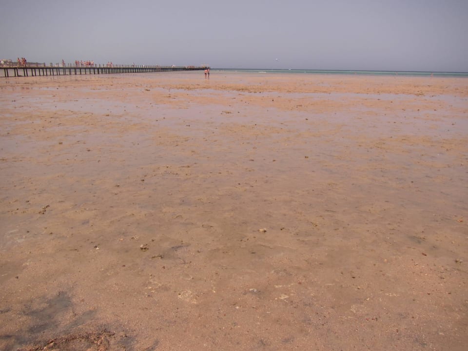 100 Meter abgestorbene Korallen Stella Beach Resort & Spa Makadi Bay