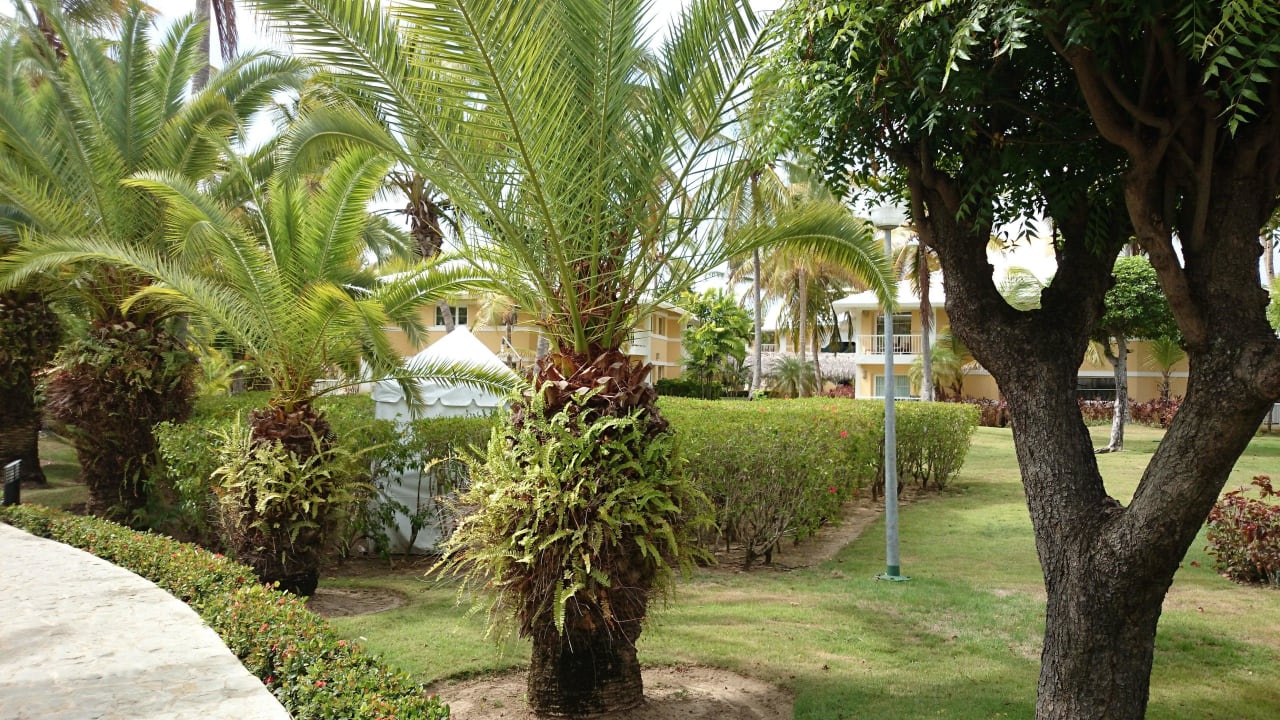 Auf dem Weg zum Restaurant Grand Palladium Select Bávaro Resort & Spa