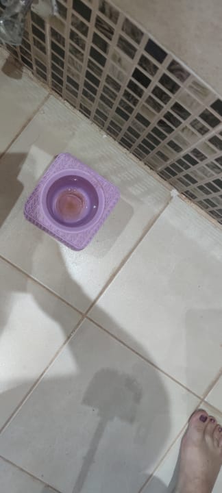 Zimmer Beach Safari Nubian Resort