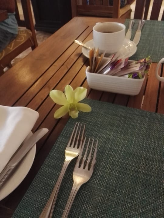 Gastro Ellaidhoo Maldives by Cinnamon