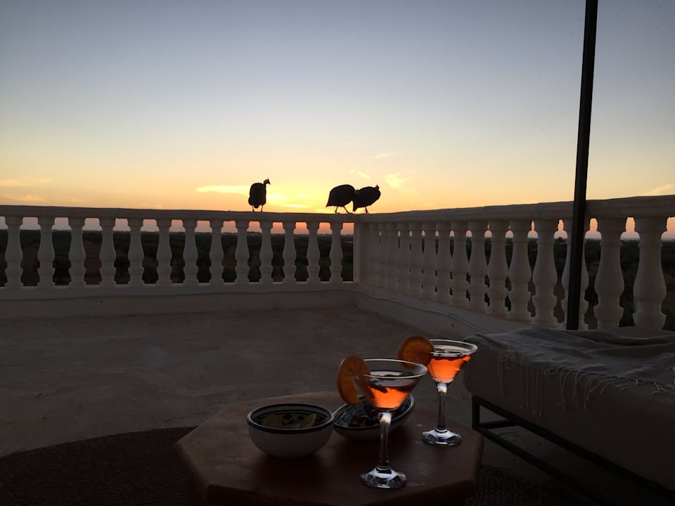 Gastro Maison dˋHôte Domaine El-Manar