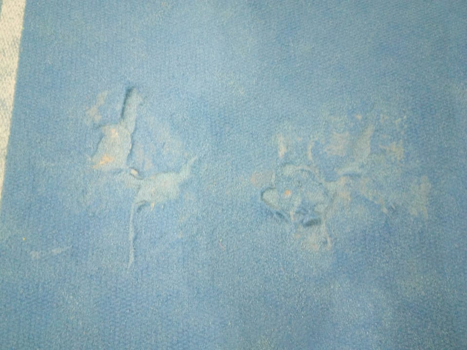 Sport & Freizeit Aldiana Club Ampflwang