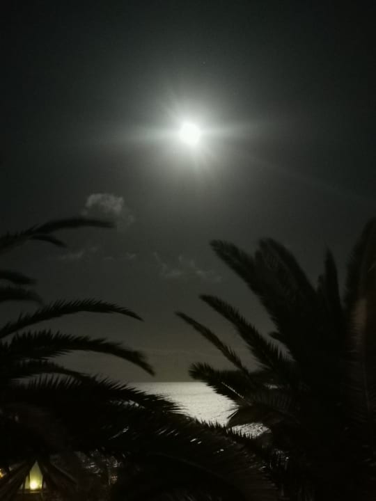 Ausblick Marina Playa Suite Hotel