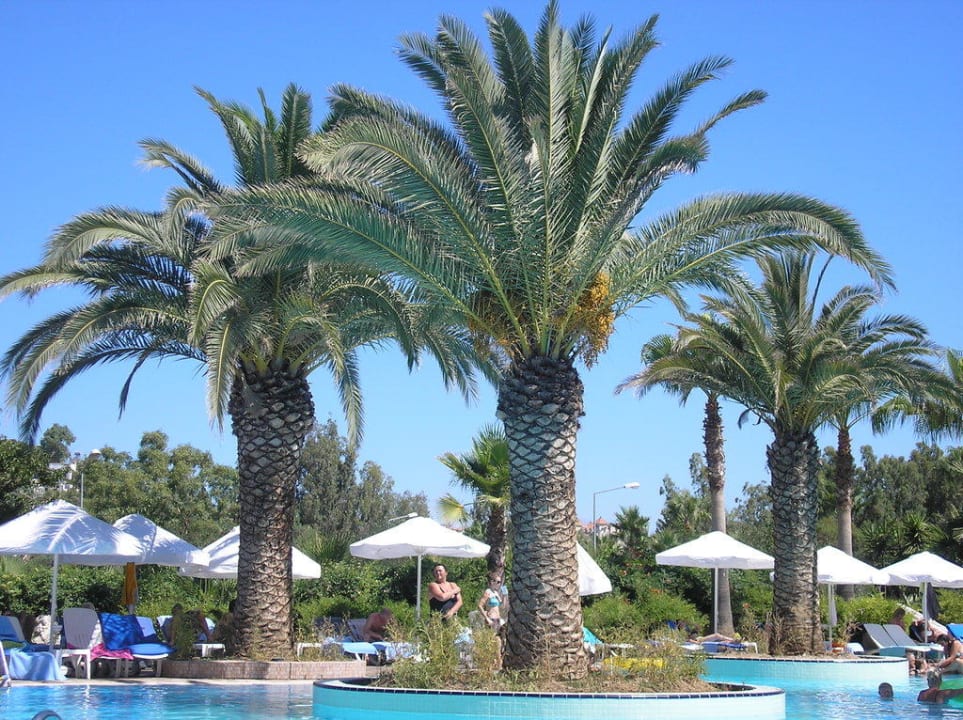 Palmen am Pool Hotel Grand Side