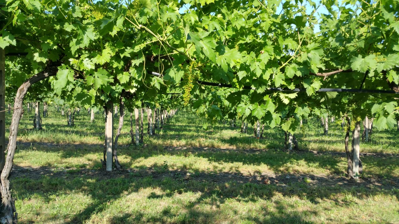 Gartenanlage Agriturismo B&B Corte Tonolli