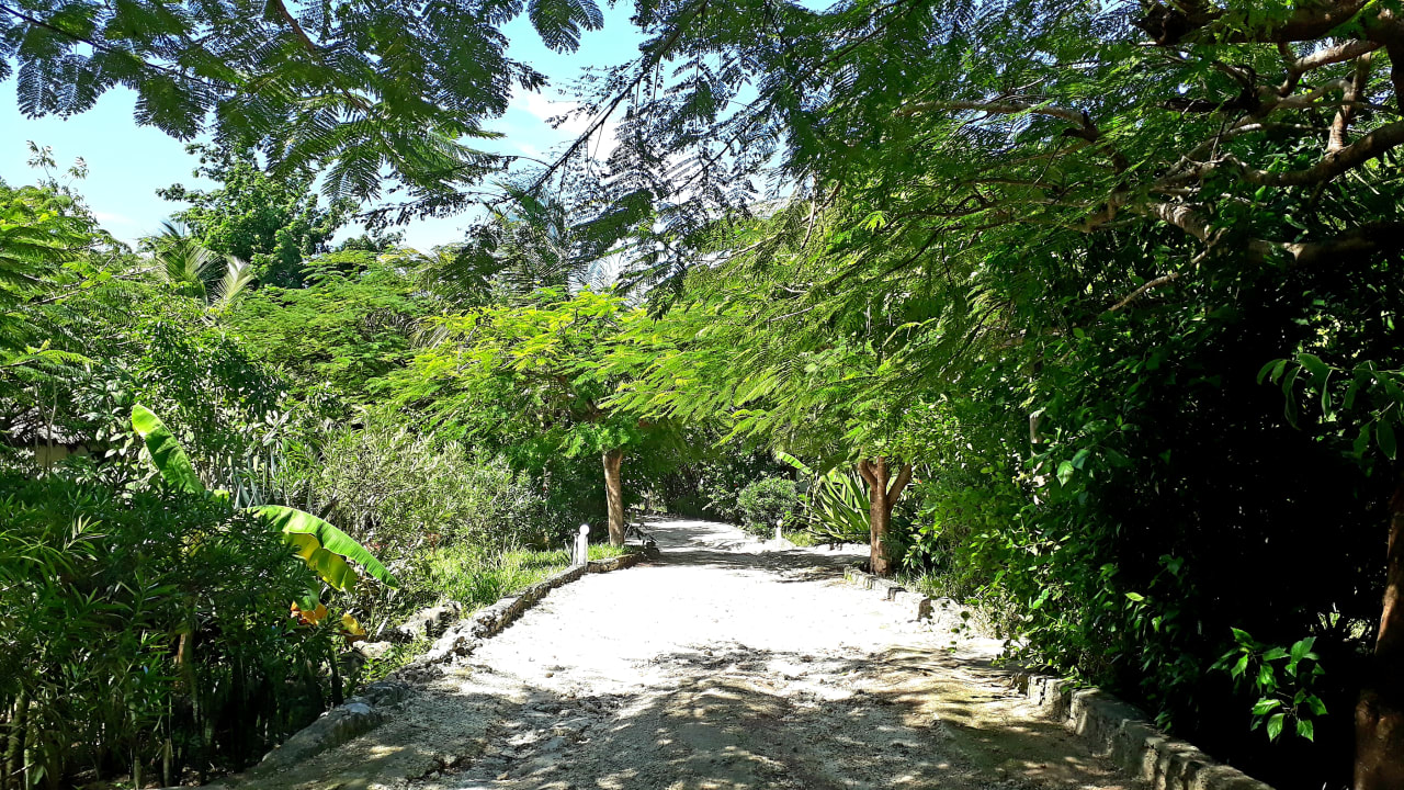 Gartenanlage Spice Island Hotel & Resort