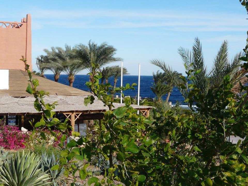 Jedna z hotelowych alejek Hotel Hauza Beach Resort