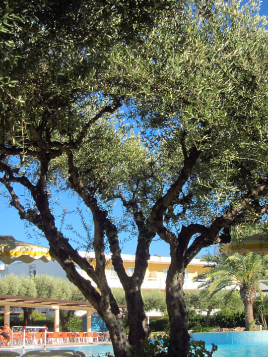 Hauptgebäude TUI KIDS CLUB Alex Beach