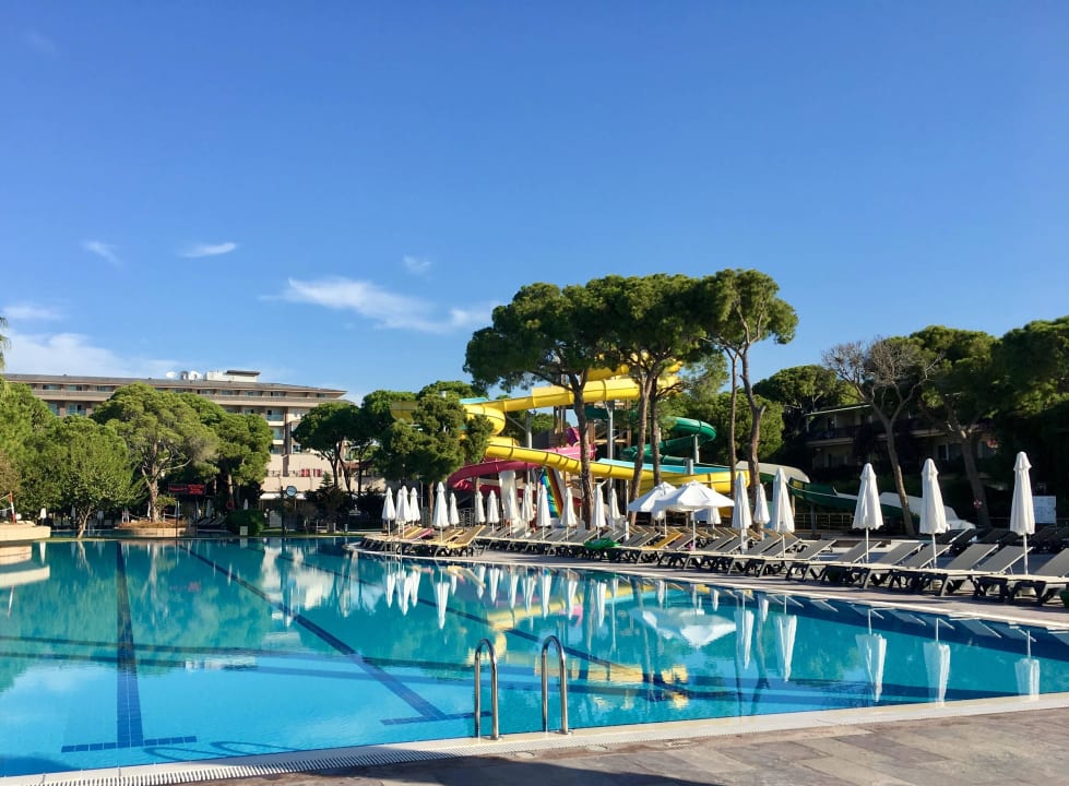 Sauberer Pool  Papillon Ayscha