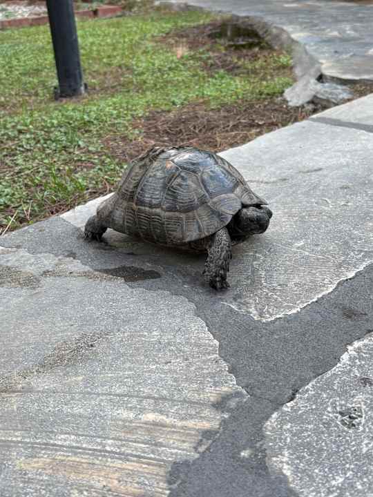 Gartenanlage Asteria Family Belek