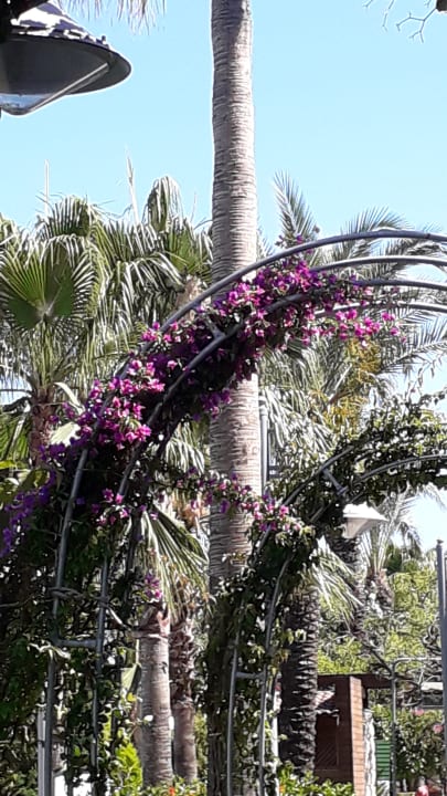 Gartenanlage Belek Beach Resort Hotel