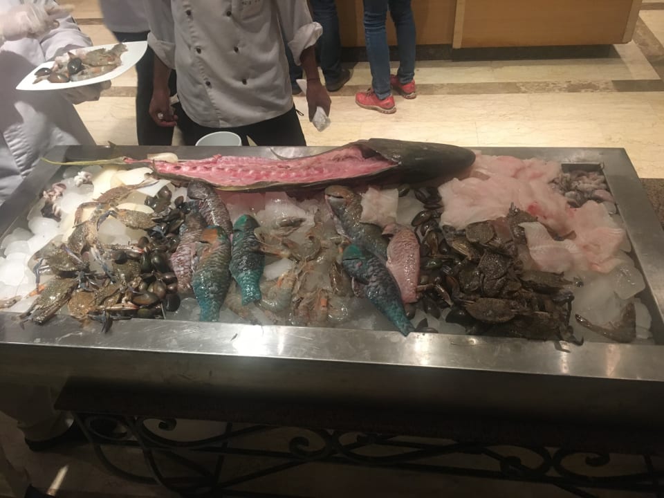 Gastro Shams Prestige Abu Soma-Adults Only