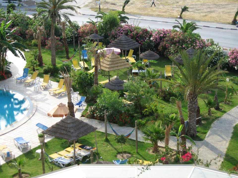 Ausblick auf den Pool mit Liegefläche Hotel African Queen