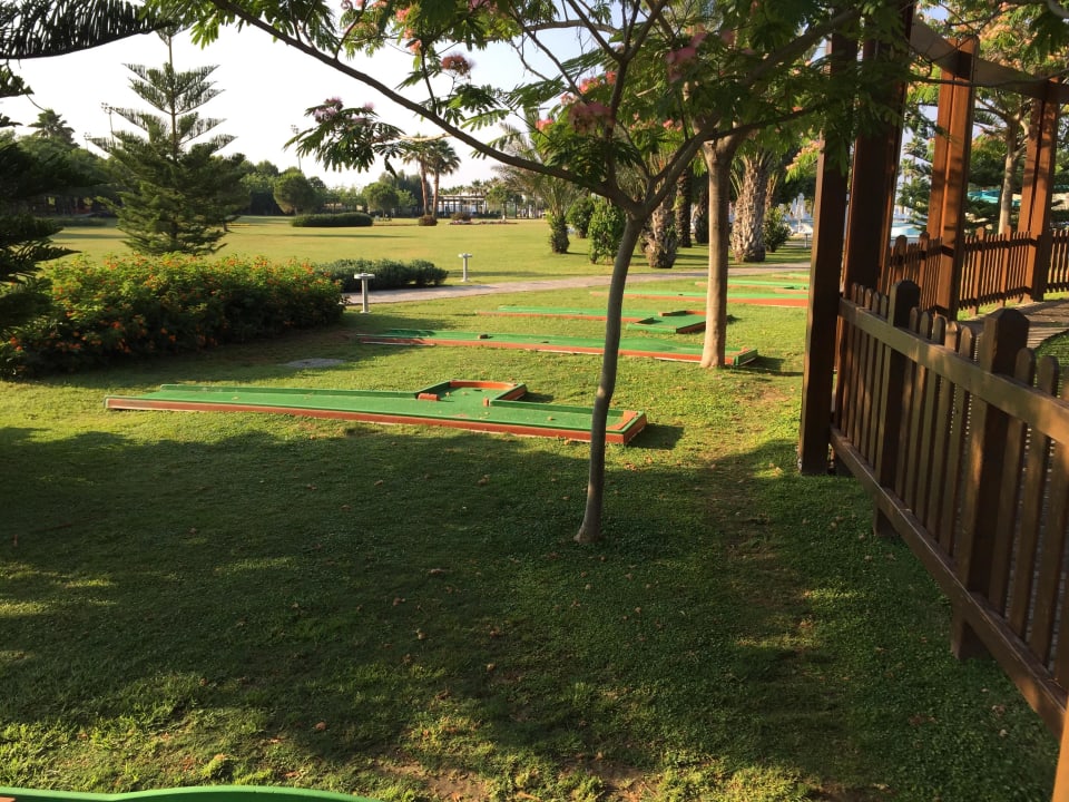 Mini-Golf Lara Barut Collection