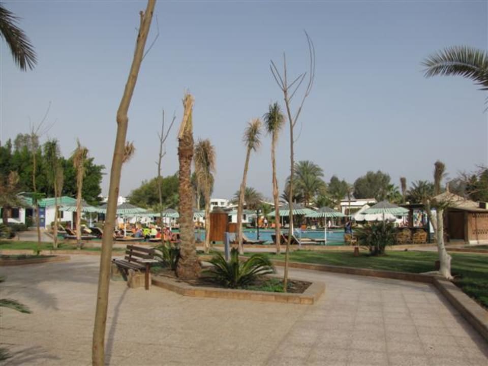 Blick auf den Pool Ghazala Beach