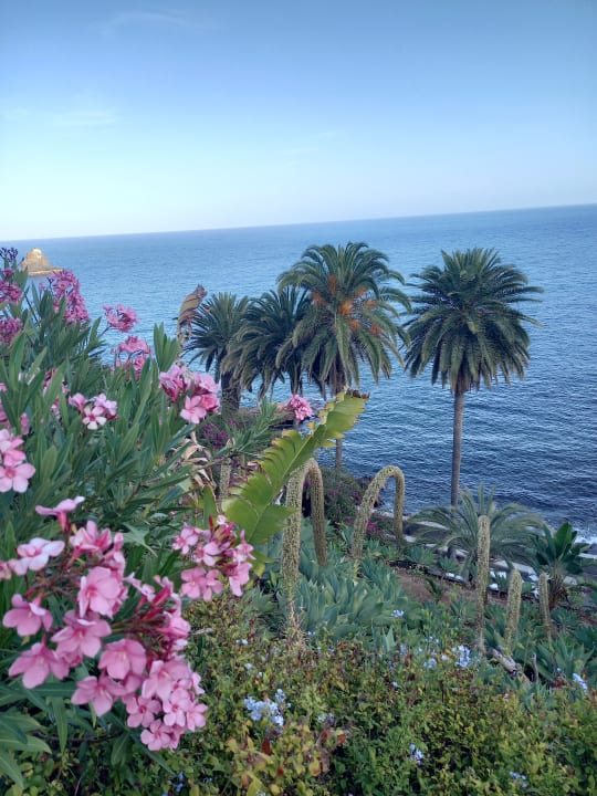 Gartenanlage Hotel Baia Azul