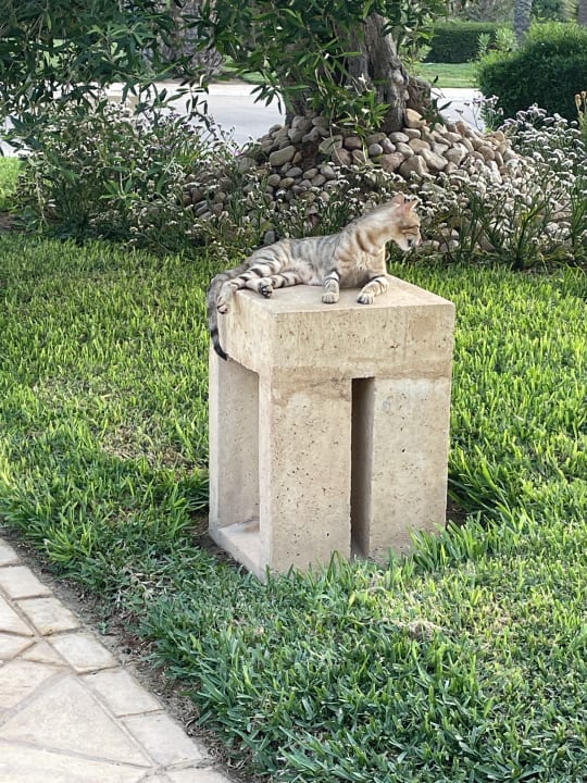 Gartenanlage Ulysse Djerba Thalasso & Spa