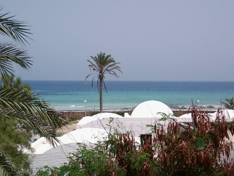 Ausblick aus dem Zimmer  Hotel Dar Salem