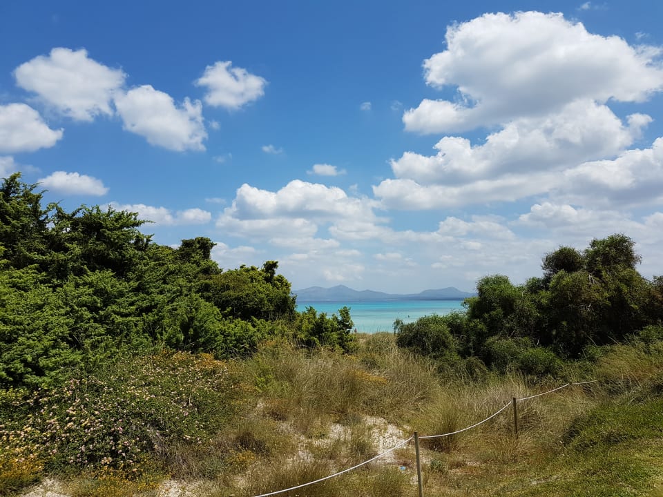 Gartenanlage Grupotel Natura Playa