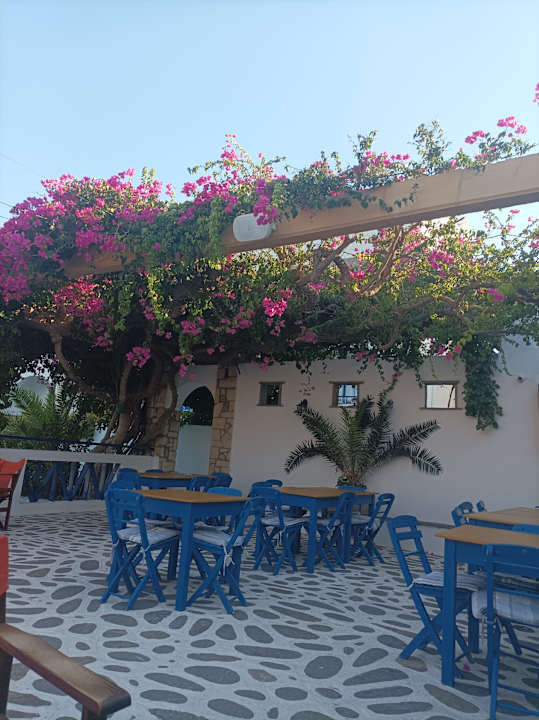 Sport & Freizeit Ekaterini Hotel
