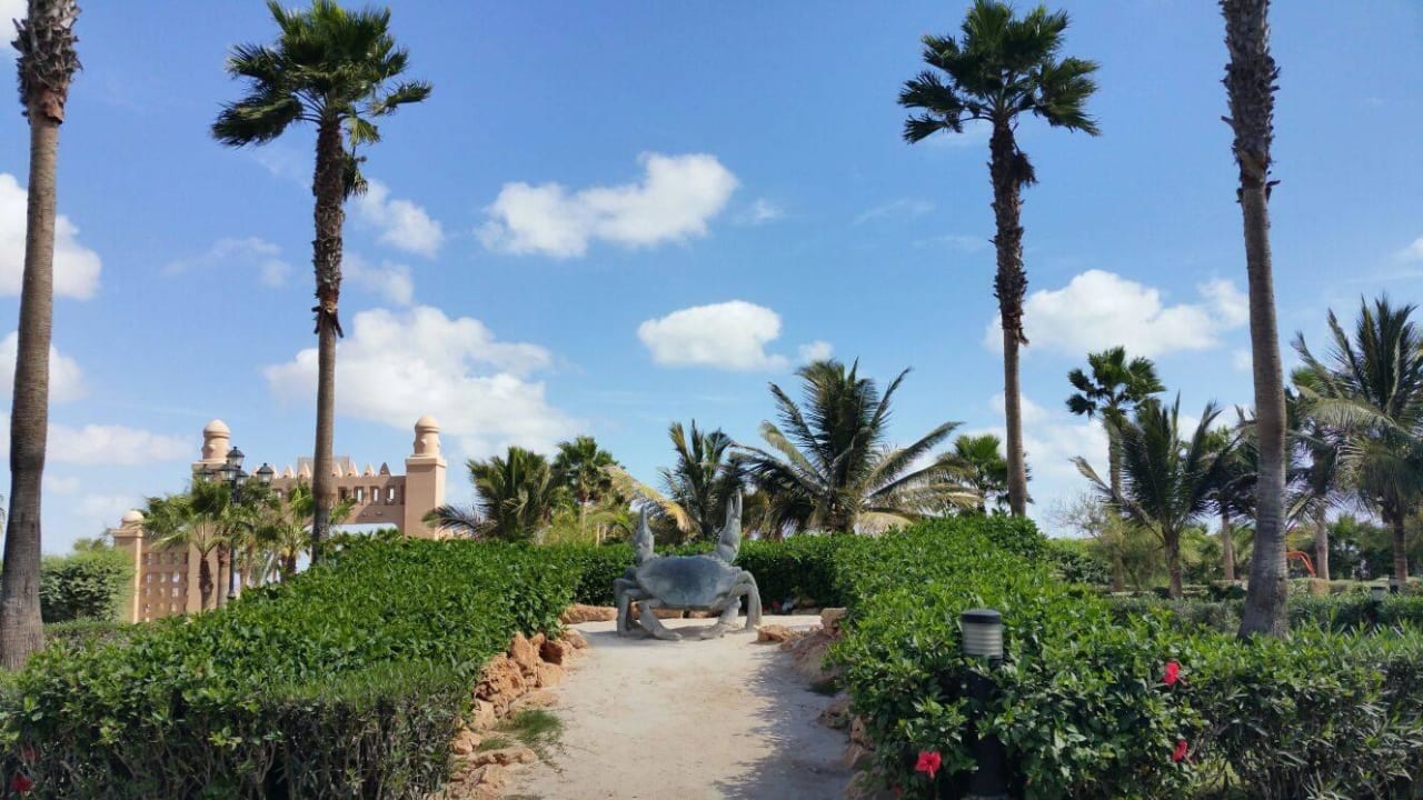 Aussenbereich des Eingangs Hotel Riu Funana